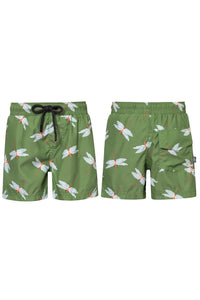 DRAGON-FLY PISTACHO - SWIMSHORTS