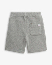 Load image into Gallery viewer, Boys Painted Grey Heather Preston Shorts