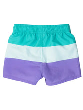 Load image into Gallery viewer, Boys Green Purple Colorblock Swim Trunks